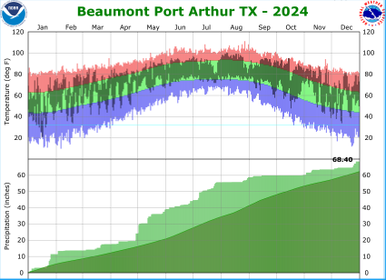 Temperature and precipitation plot for 2024