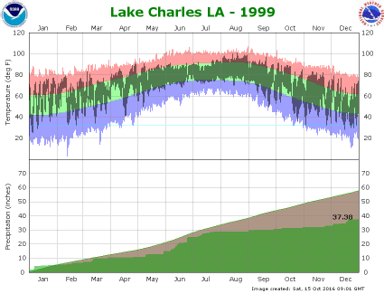 Temperature and Precipitation Plot for 1999