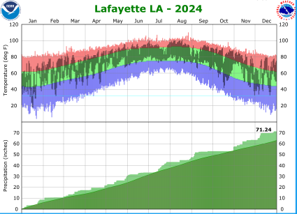 Temperature and precipitation plot for 2024