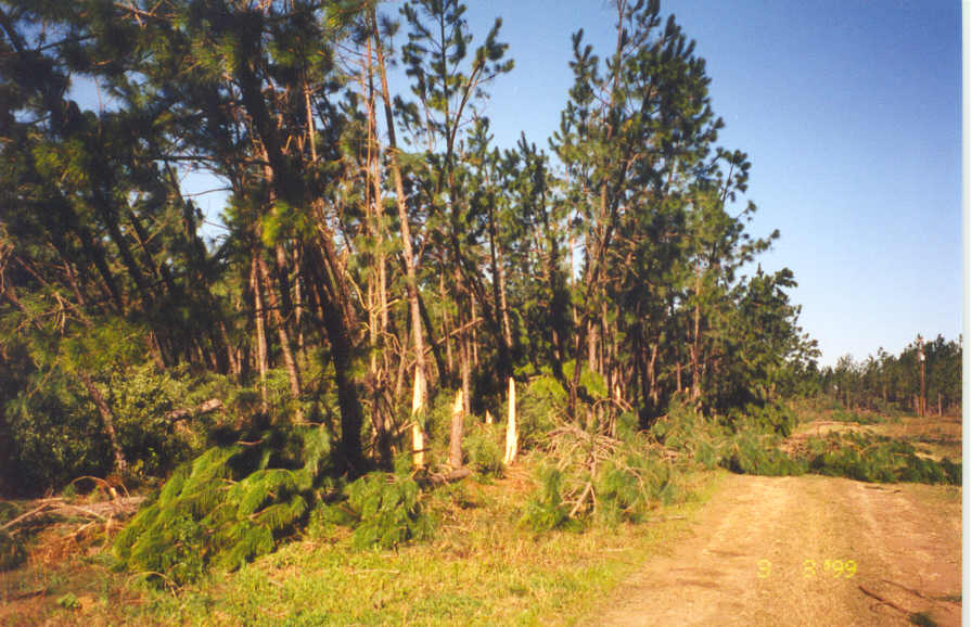 Dequincy Tornado