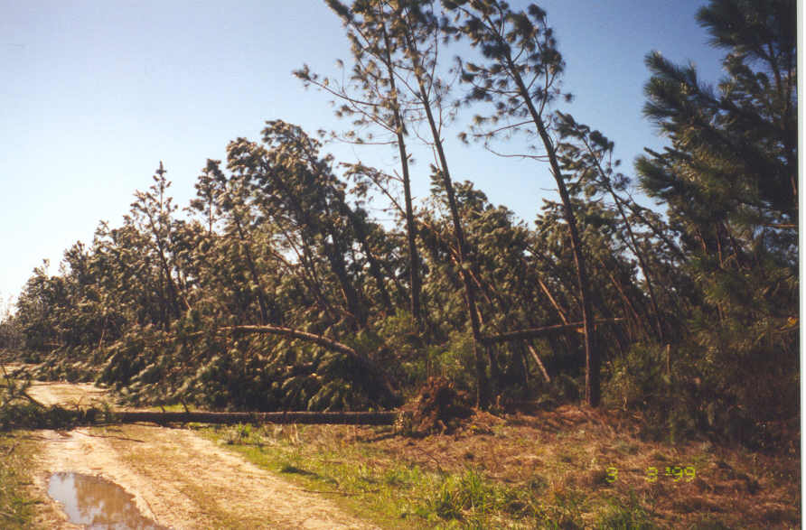 Dequincy Tornado