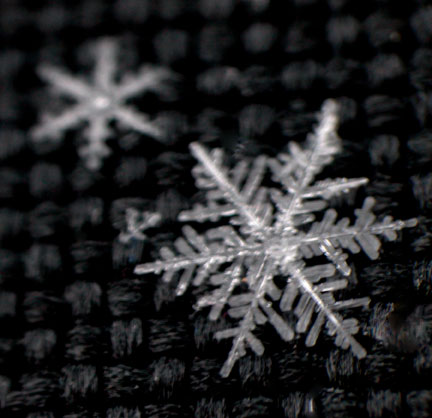 Snowflake image