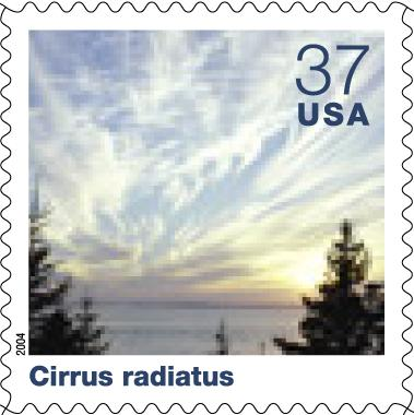 Image of Cirrus Radiatus