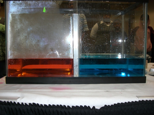 Cold and Warm Water Experiment (Close-up #1).