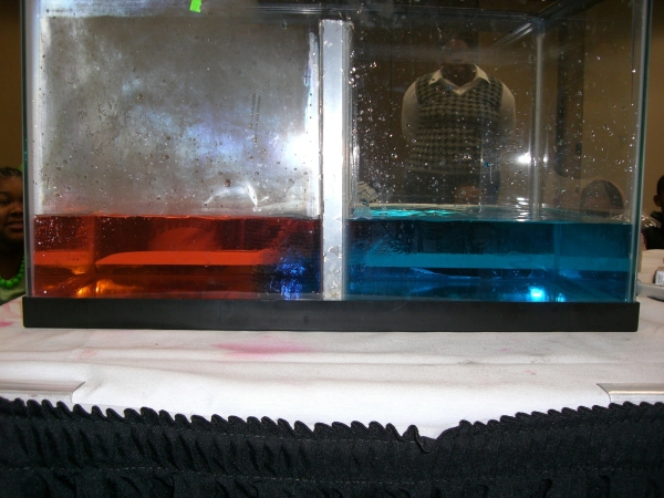 Cold and Warm Water Experiment (Close-up #2).