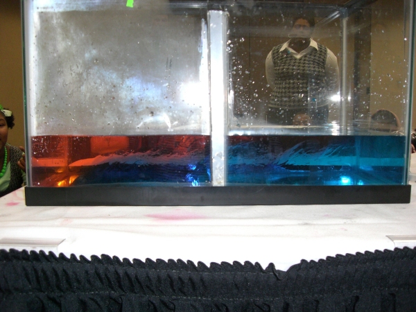 Cold and Warm Water Experiment (Close-up #3).