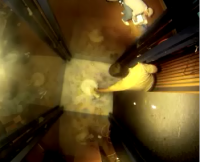 NWS LCH JASON 12 video thumbnail