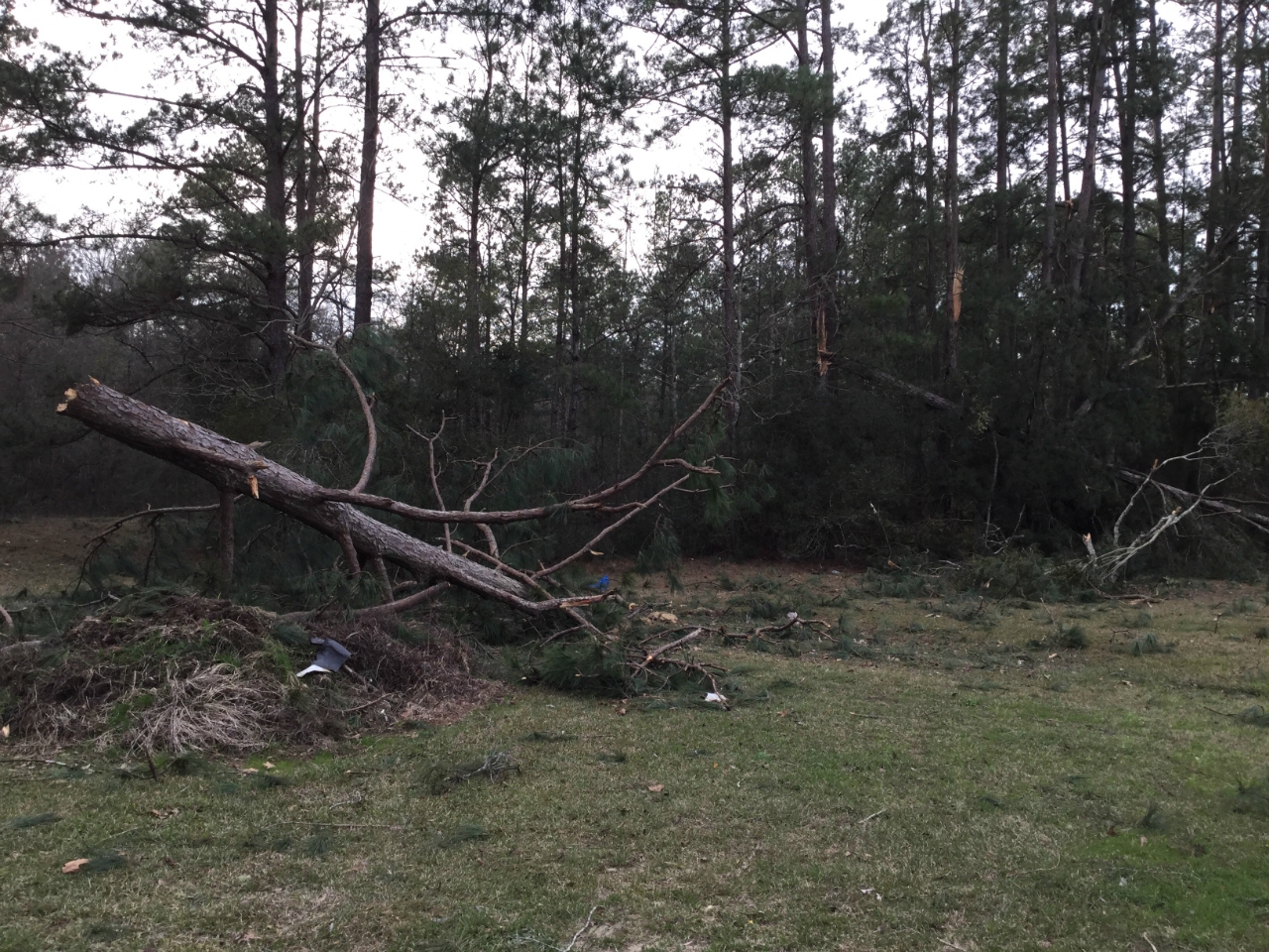 Damage