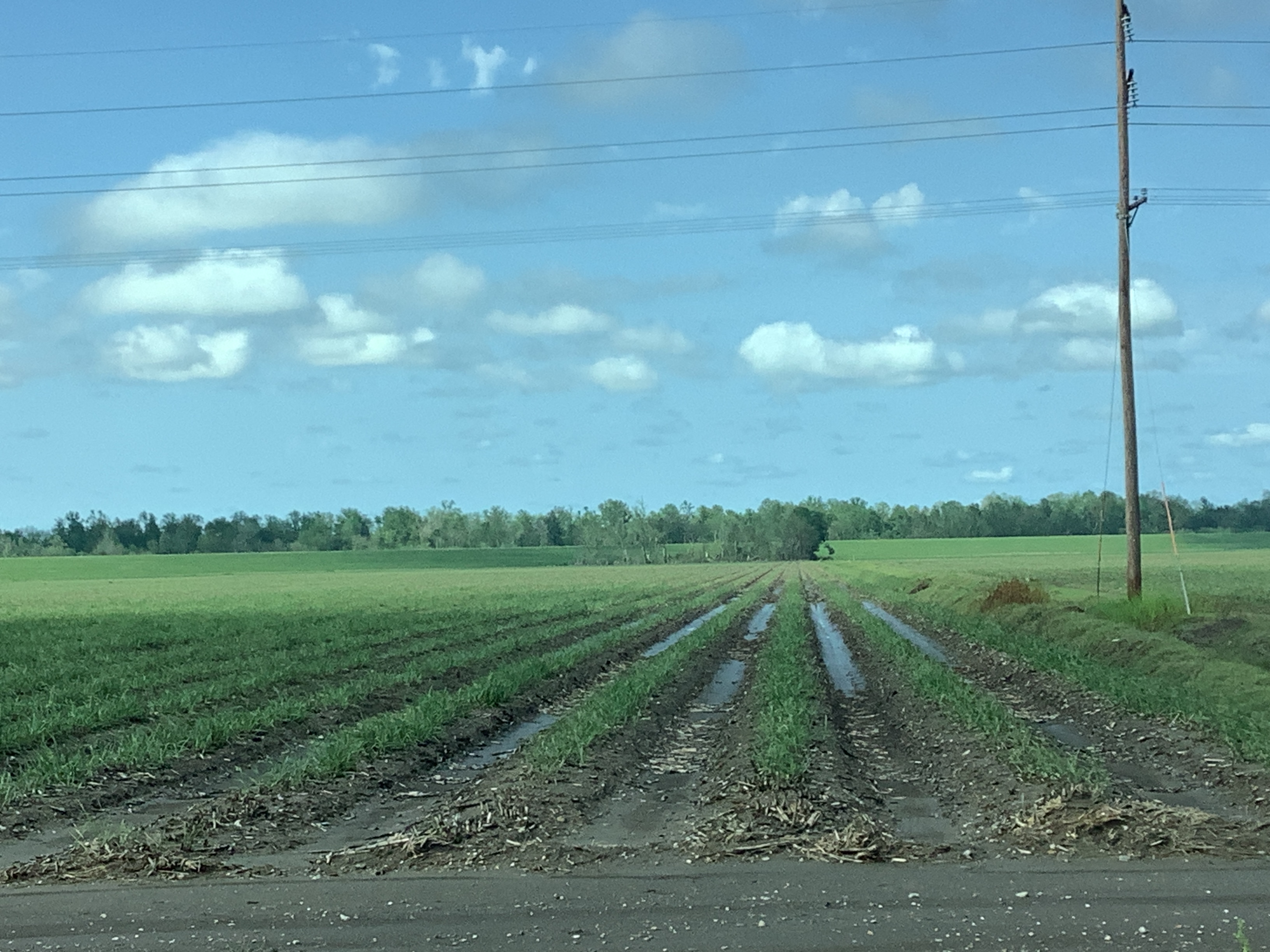 Tornado Damage