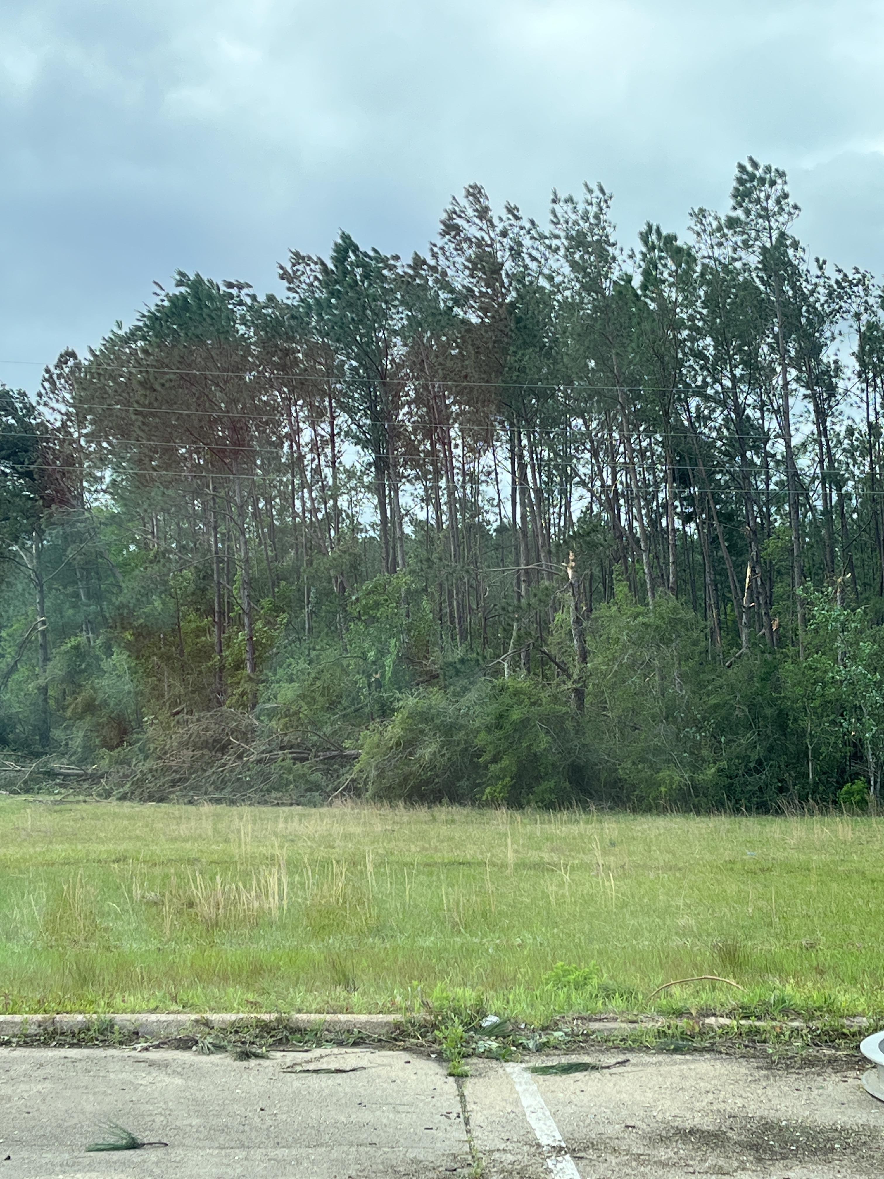 Tornado Damage