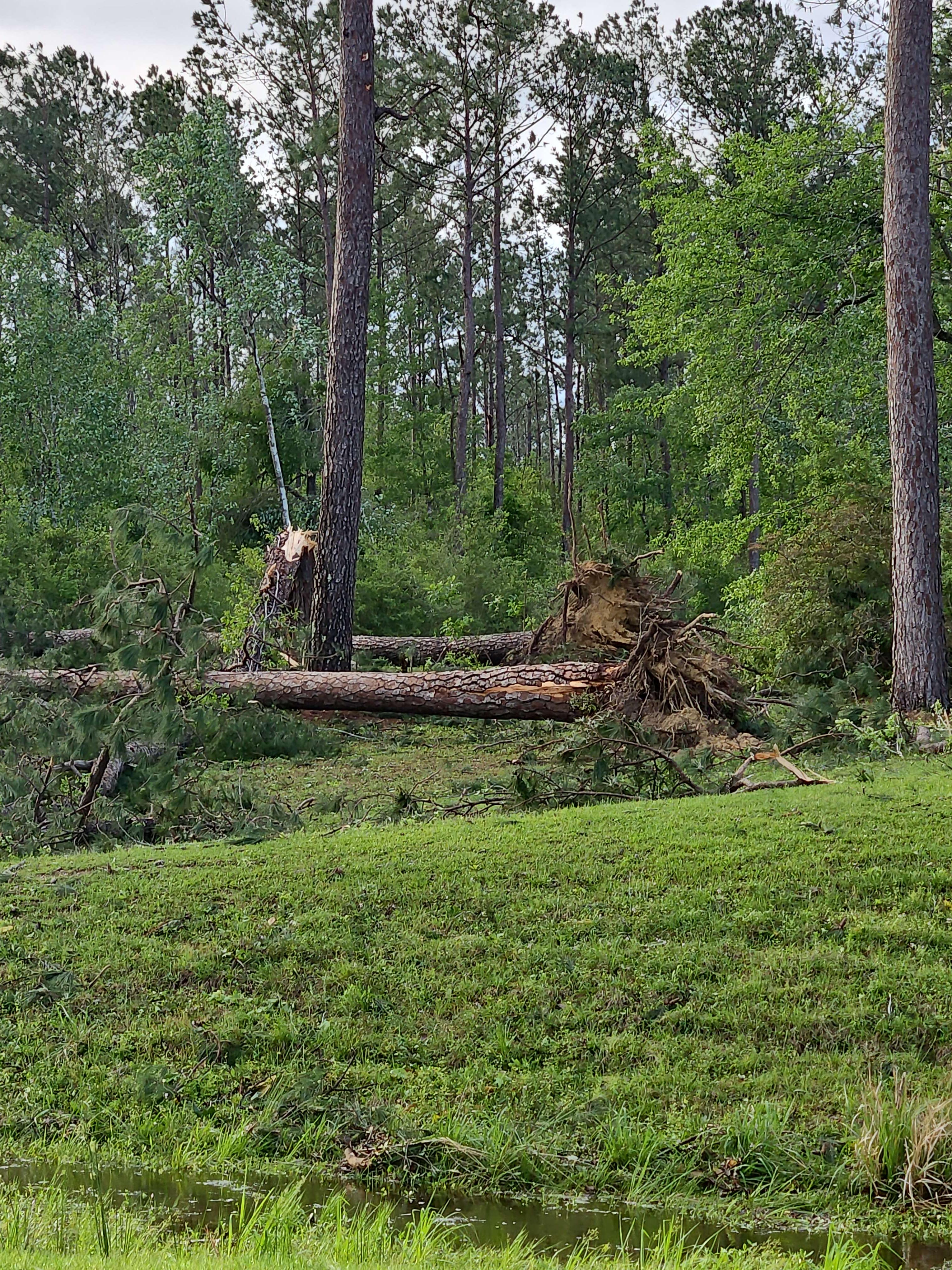 Tornado Damage