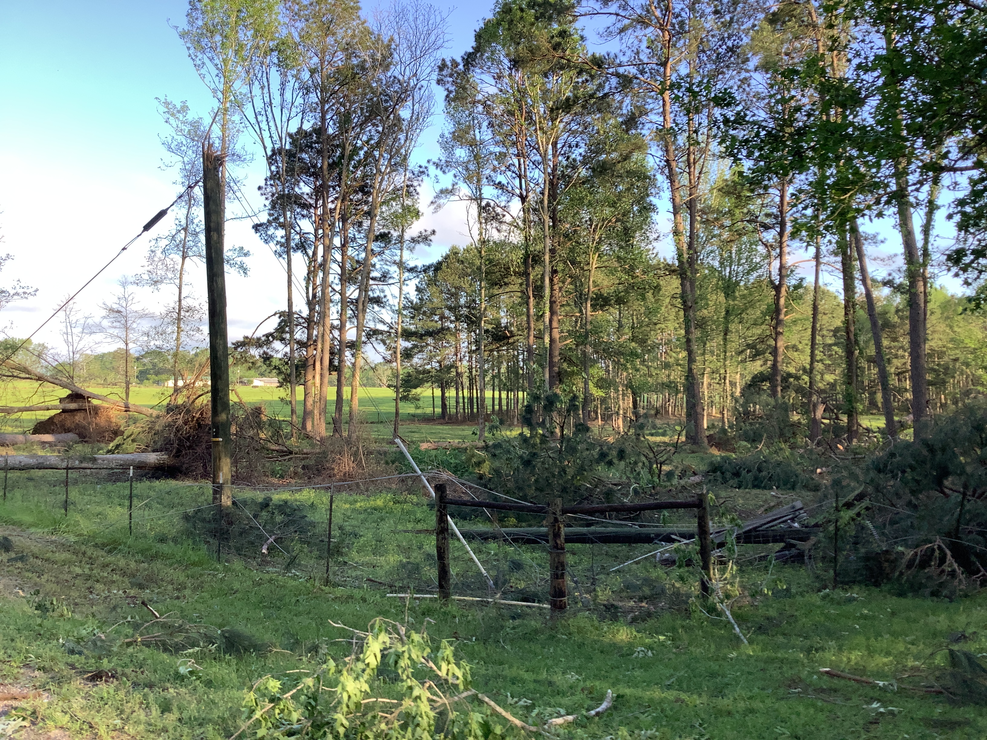 Tornado Damage