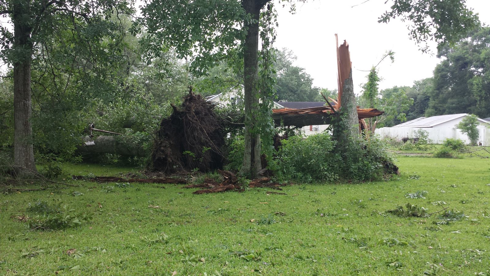 Damage