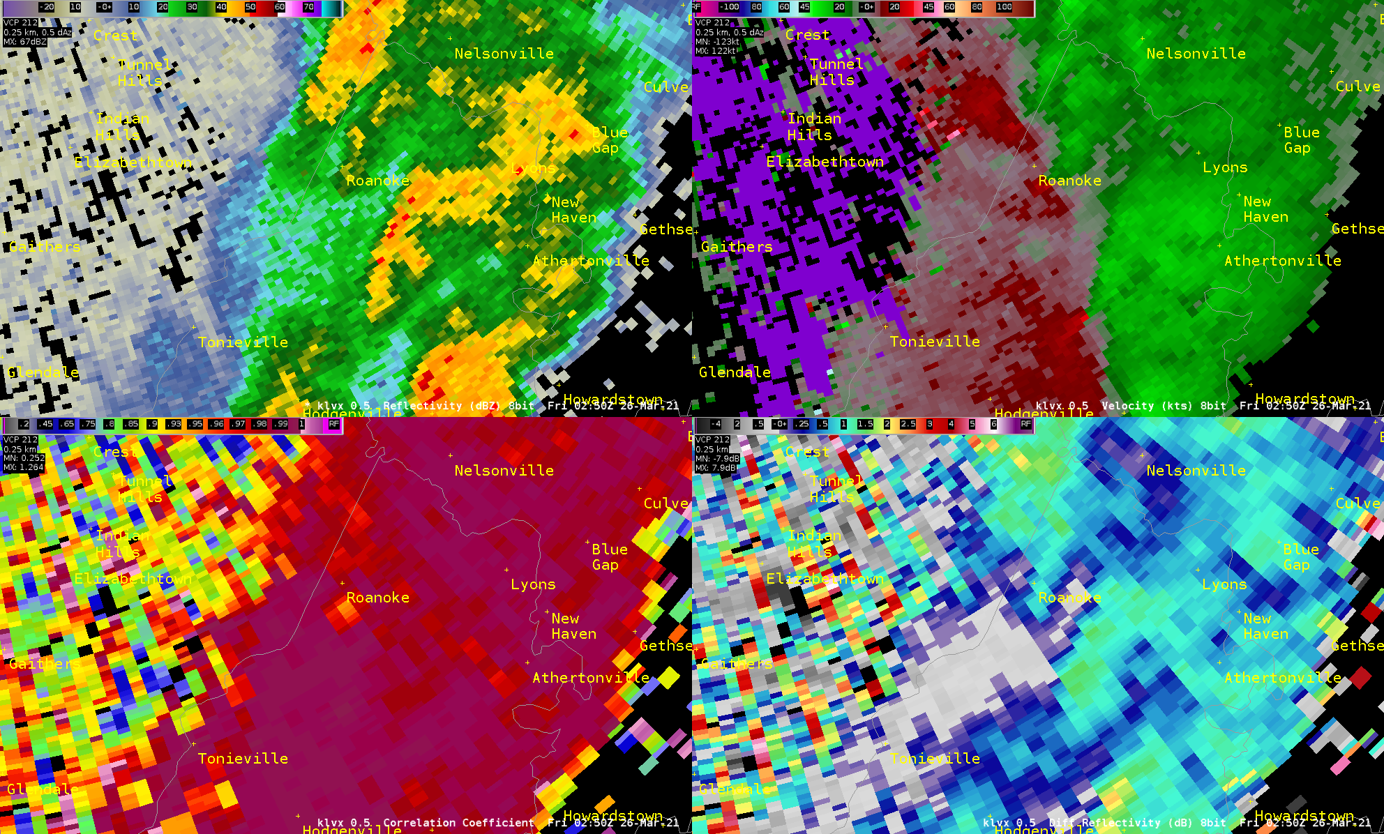 Radar Image