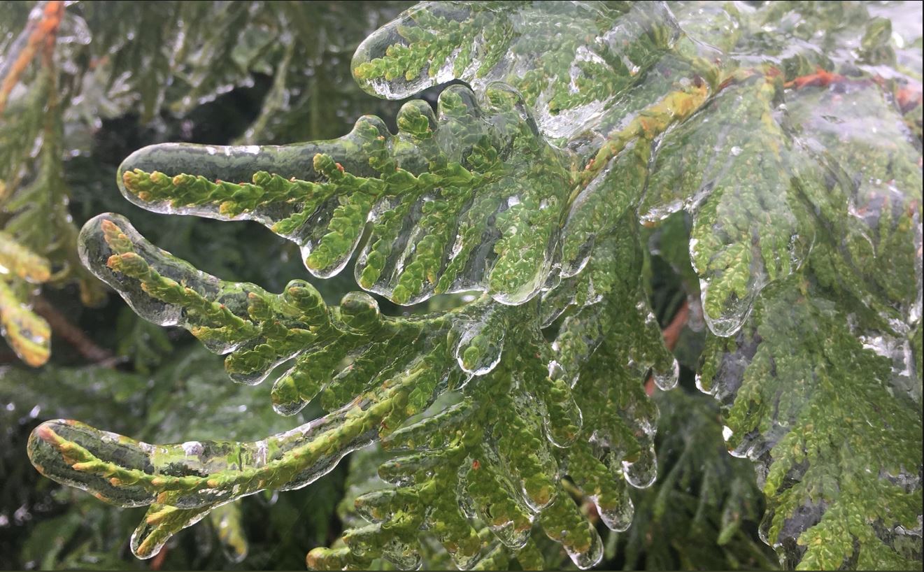 Ice in southern Kentucky December 9, 2018