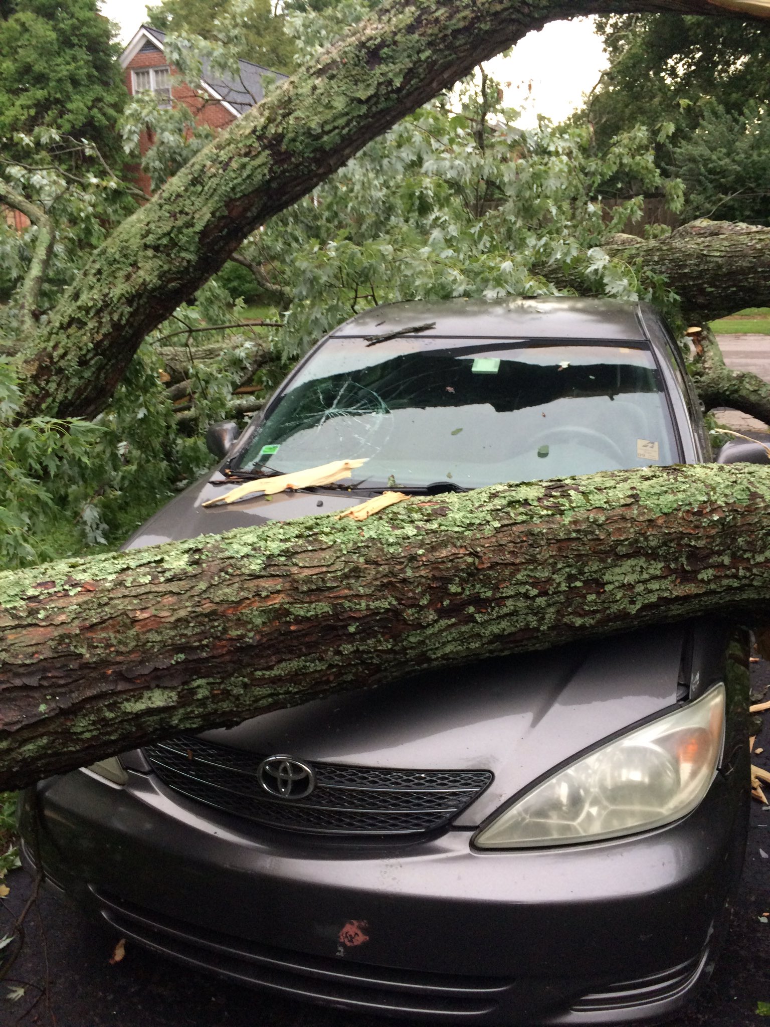 Lexington wind damage