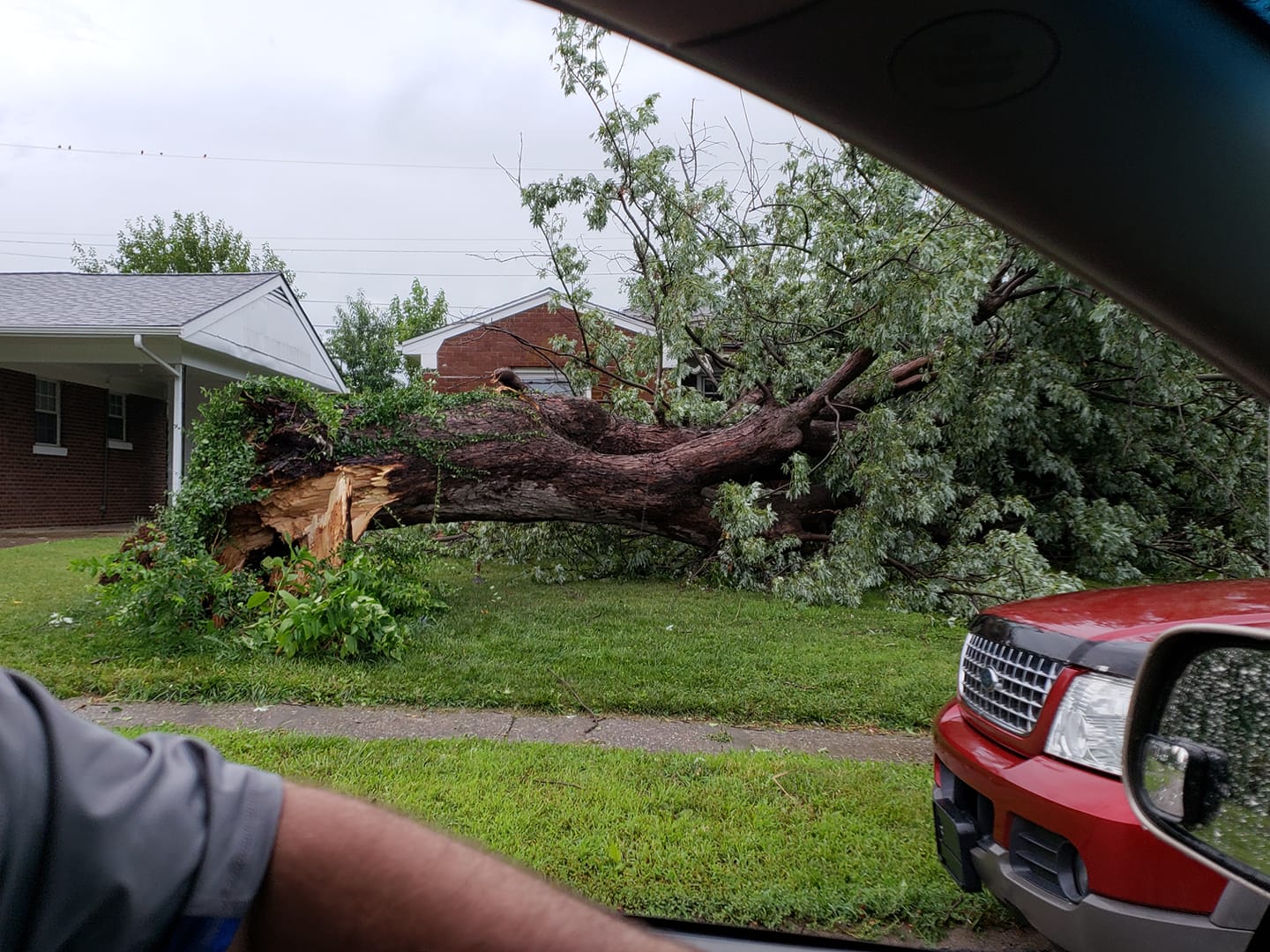 Lexington wind damage