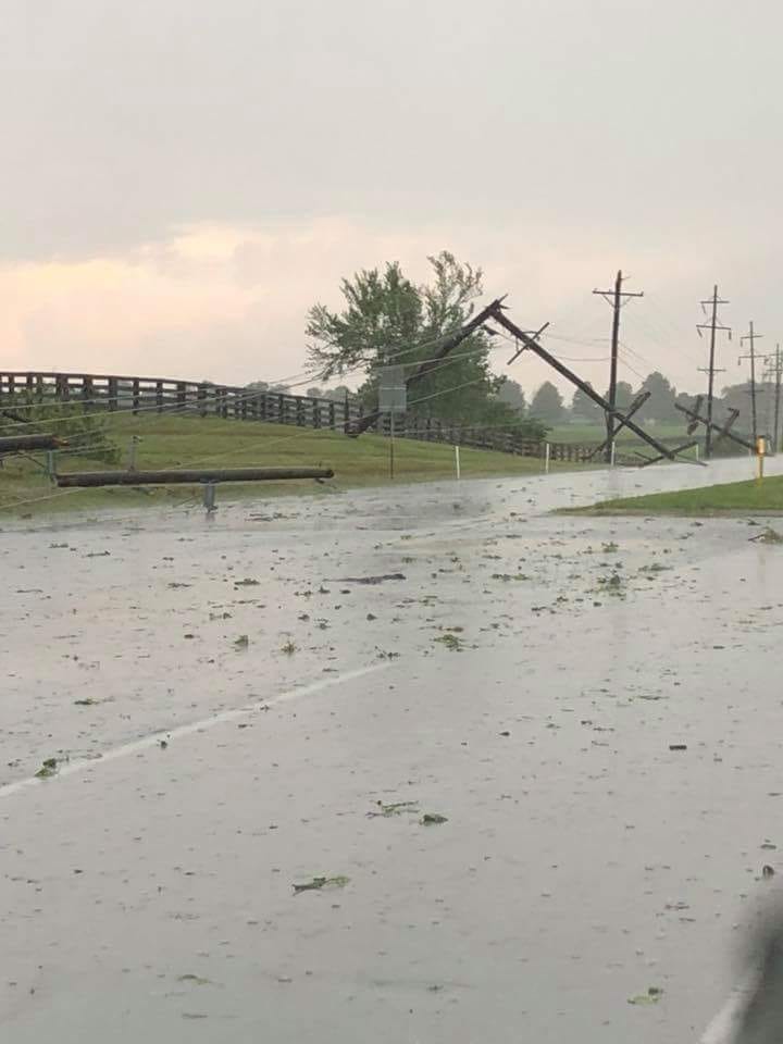 Versailles wind damage