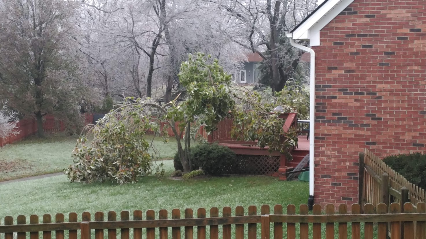 Early Season Freezing Rain Event