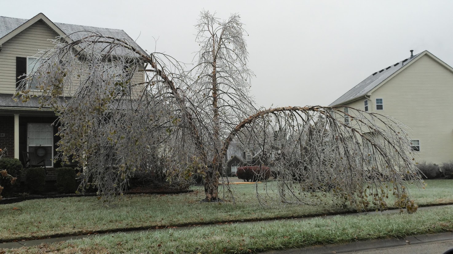 Ice in Louisville November 14-15, 2018