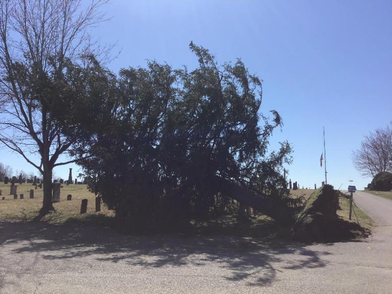 Tornado damage in Crown Hill Cemetery in Salem, Indiana