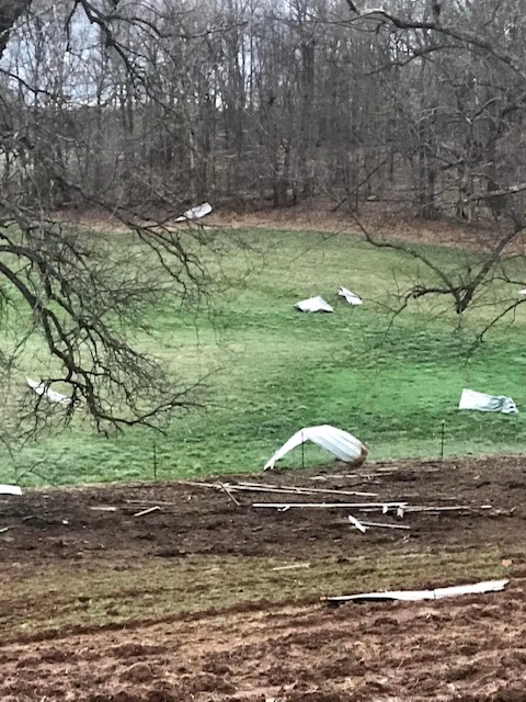 Green County