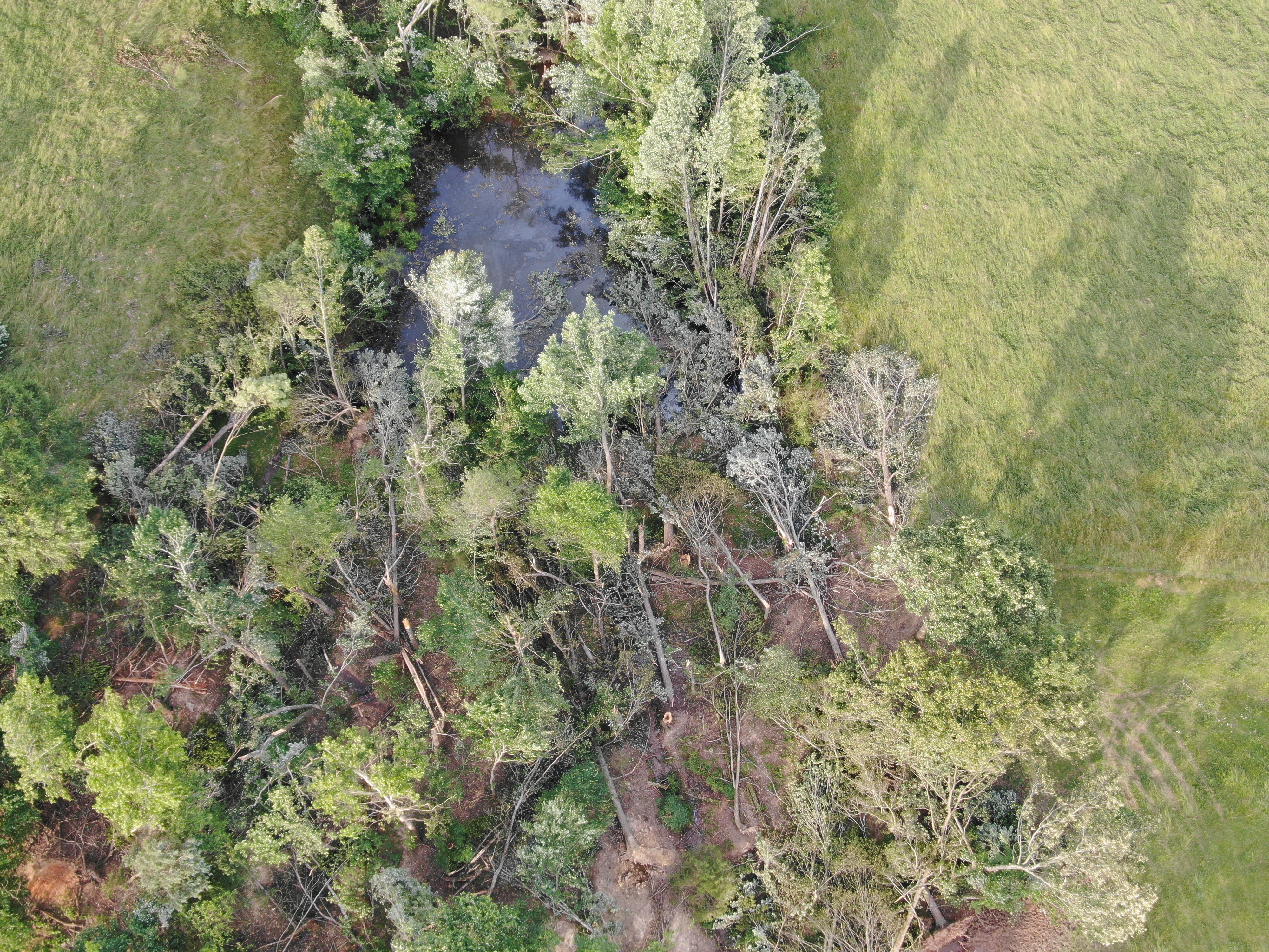 Radar/Photo