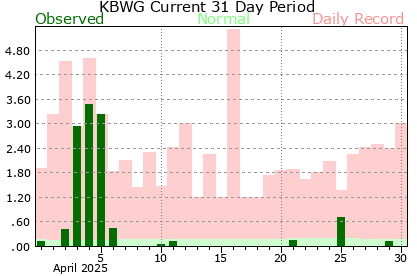 Past 31 days of precipitation at Bowling Green