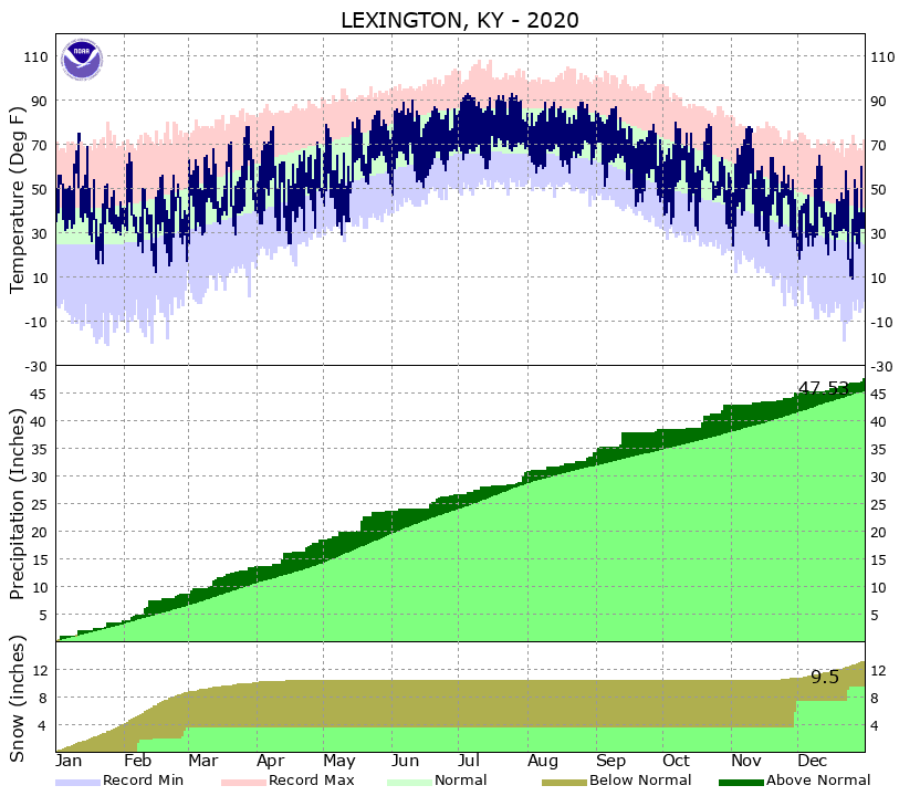 2020 temperatures and precipitation at Lexington