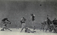 November 25, 1950
