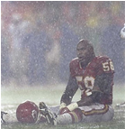 October 8, 1998