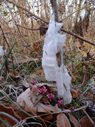 frost flowers