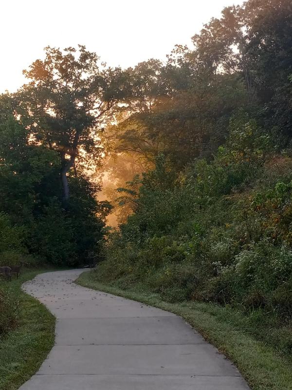 Foggy sunrise near Seatonville, Kentucky