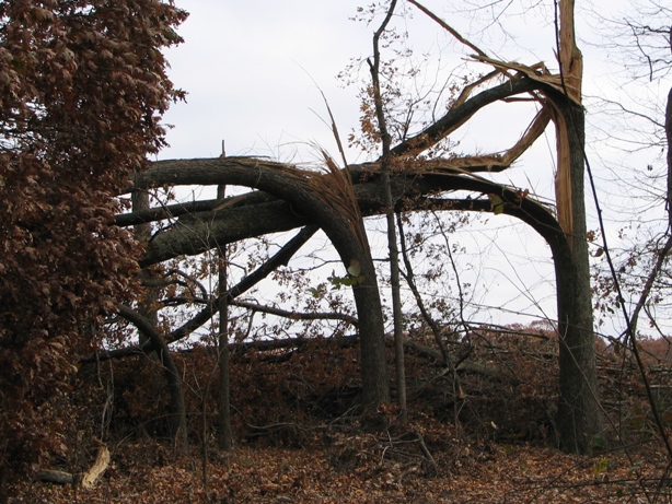 Tornado damage in Dubois County October 18, 2007