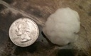 Shively, Kentucky hail
