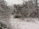 Leitchfield, Kentucky