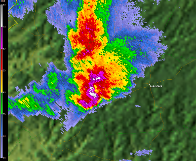 Grayson County reflectivity