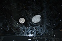 Berea hail