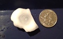 Richmond hail