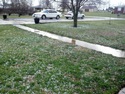 Holy Corss hail