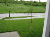 Boyle County