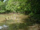 Cumberland County