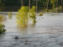 Hardin County