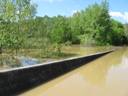 Madison County