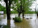 Marion County