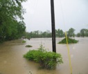 Washington County KY