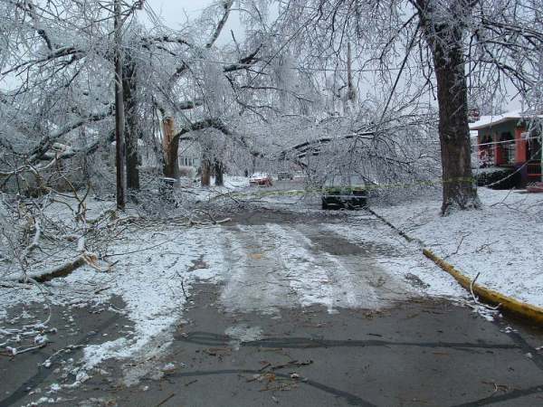 Bluegrass Ice Storm