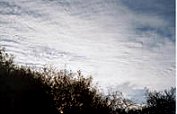 Cirrostratus