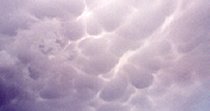 Mammatus