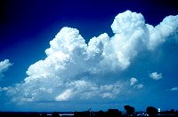 Cumulus congestus (towering cumulus)